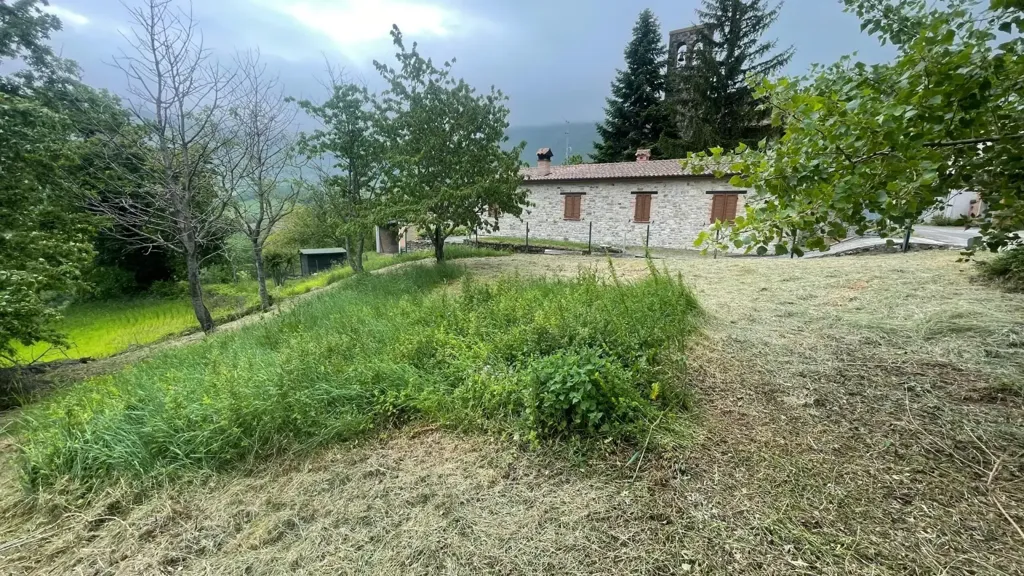 land_plot