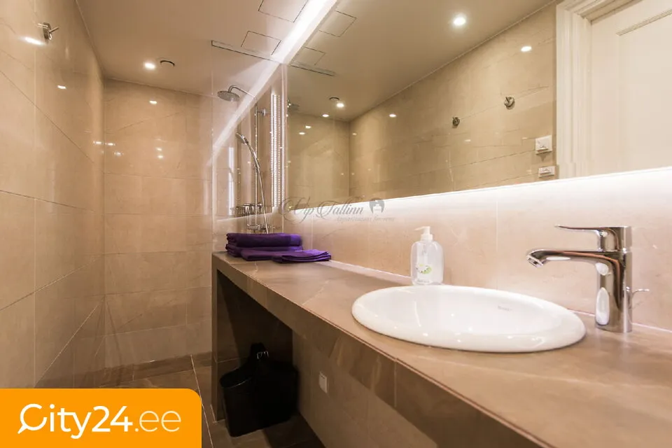Vannitoad - Modern Studio Apartment in Old Town Tallinn