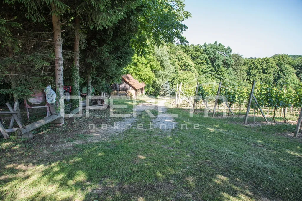 Garden - Detached House with Forest View in Kelemen