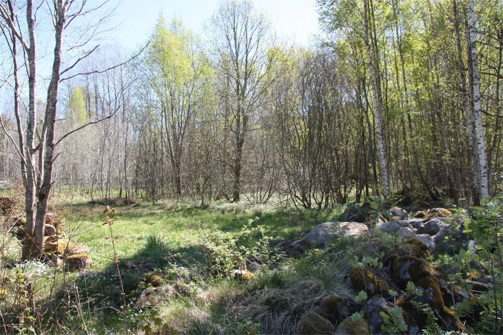 Maa asukohas Örkelljunga kommun