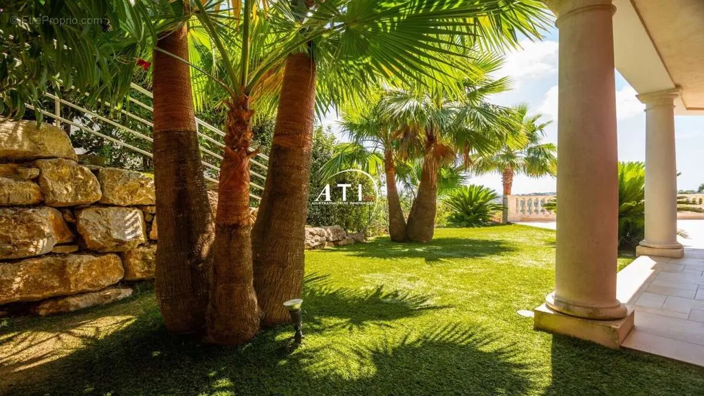 terrace_patio