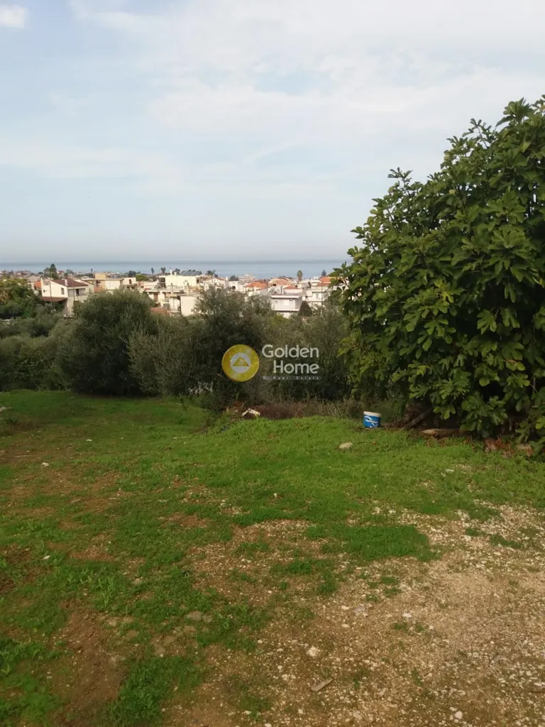 Jardin - Plot with Panoramic View in Brachnaiika Centre