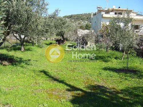 Aed - Agricultural Plot with Olive Trees in Korythio