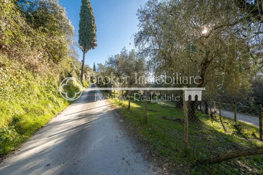 Exterior - Rustic Villa with Olive Grove in Massarosa
