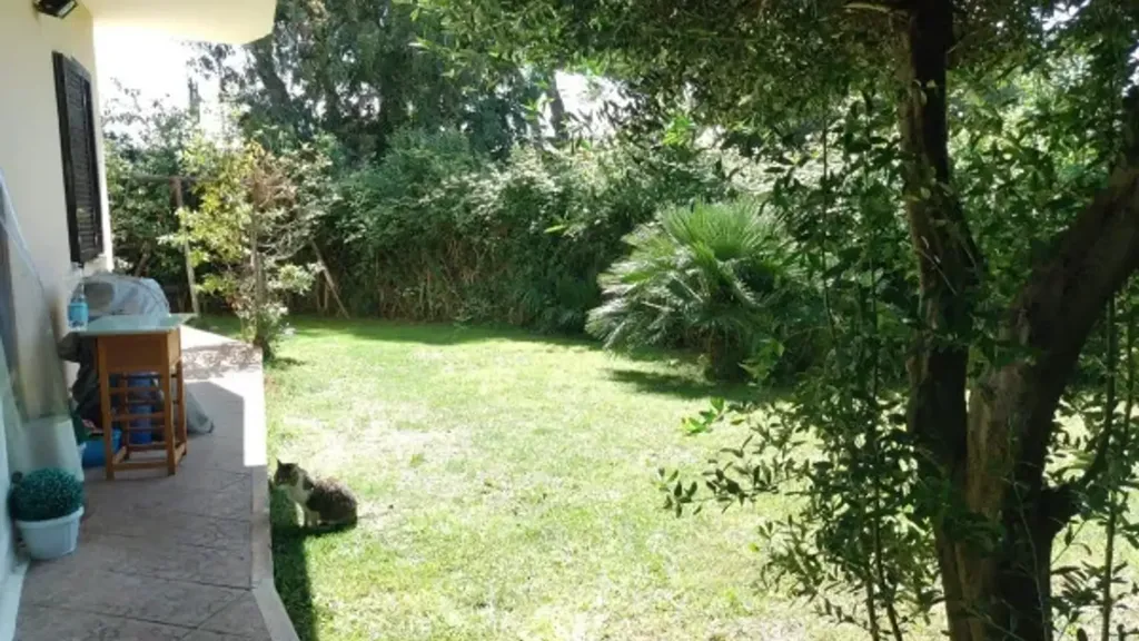 Jardin - Ground Floor Apartment with Garden in Ladispoli