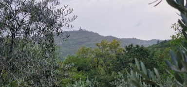 Altro - Stone Buildings with Extensive Land in Gračišće