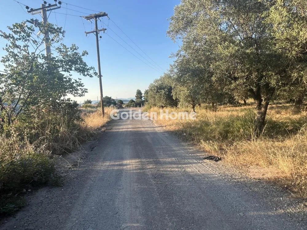 Giardino - Commercial Plot with Olive Trees in Traganá