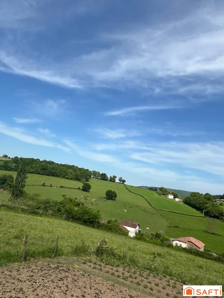 Jardin - Maison de Charme avec Vue Montagne à Ostabat-Asme