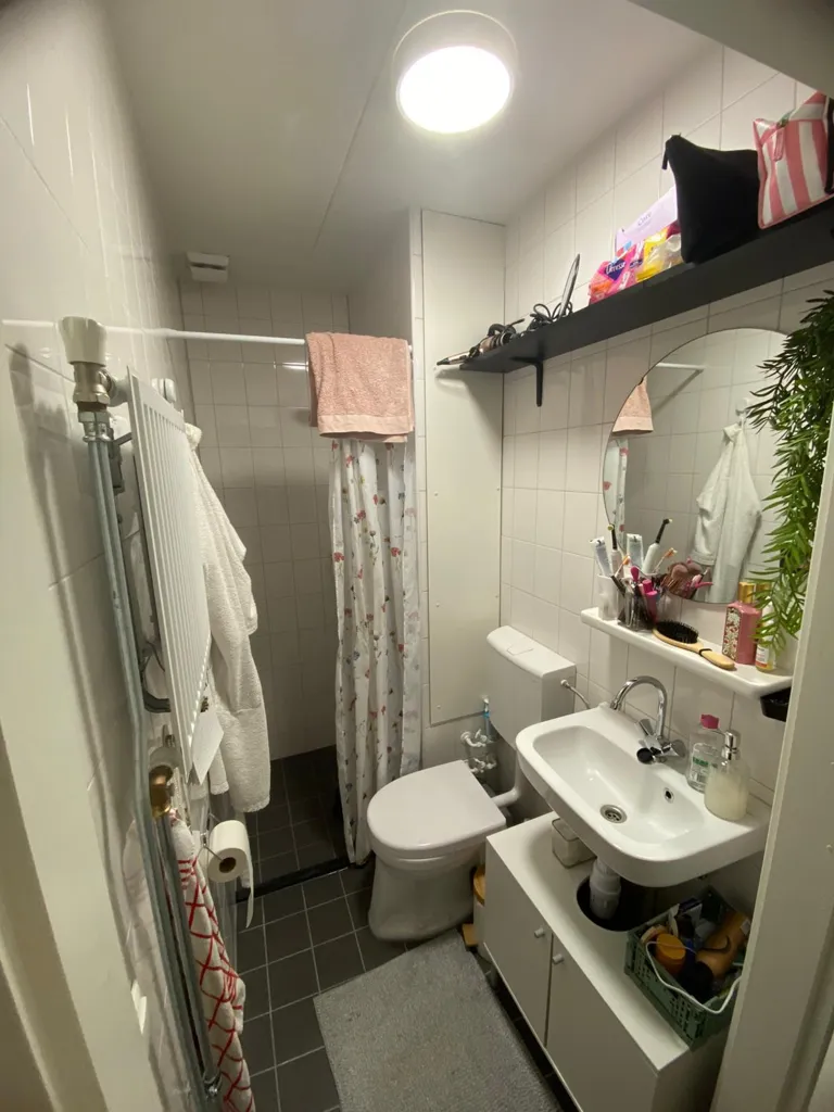 Bathrooms - Student House with Private Bathroom in Utrecht