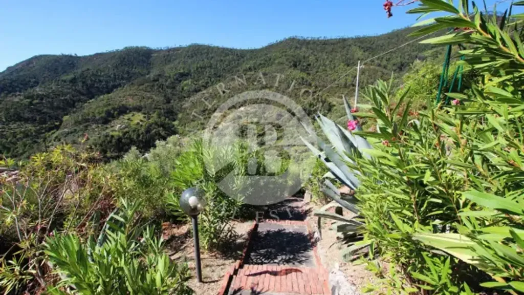 Jardin - Villa with Sea View in Monterosso, Cinque Terre