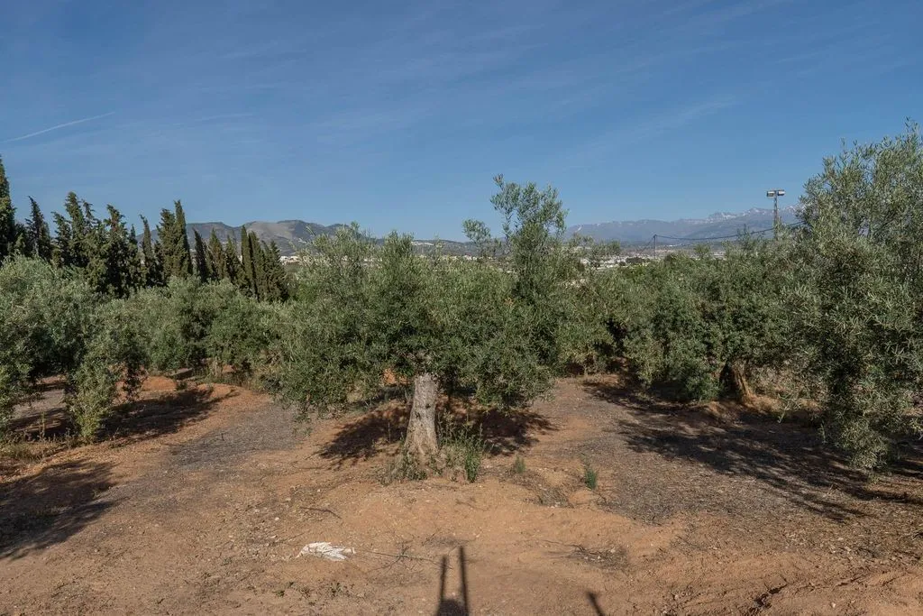 Aed - Buildable Land with Granada Views in Albolote