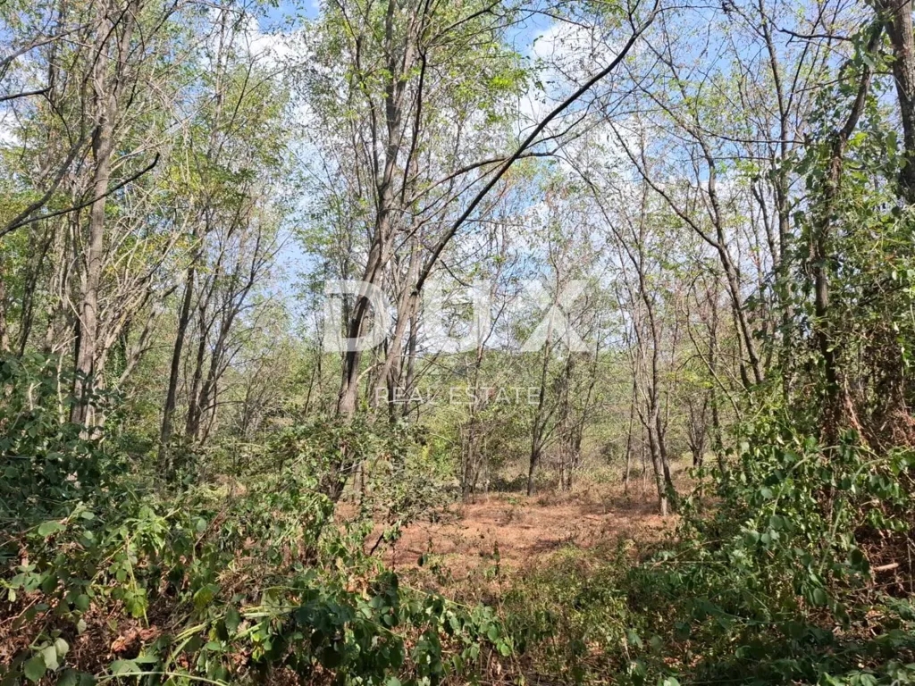 Jardin - Extensive Forest near Kaštelir, Istra