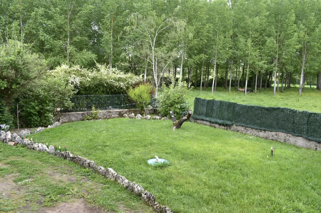 Jardin - Maison avec Jardin dans un Village Calme à Sigy-le-Châtel