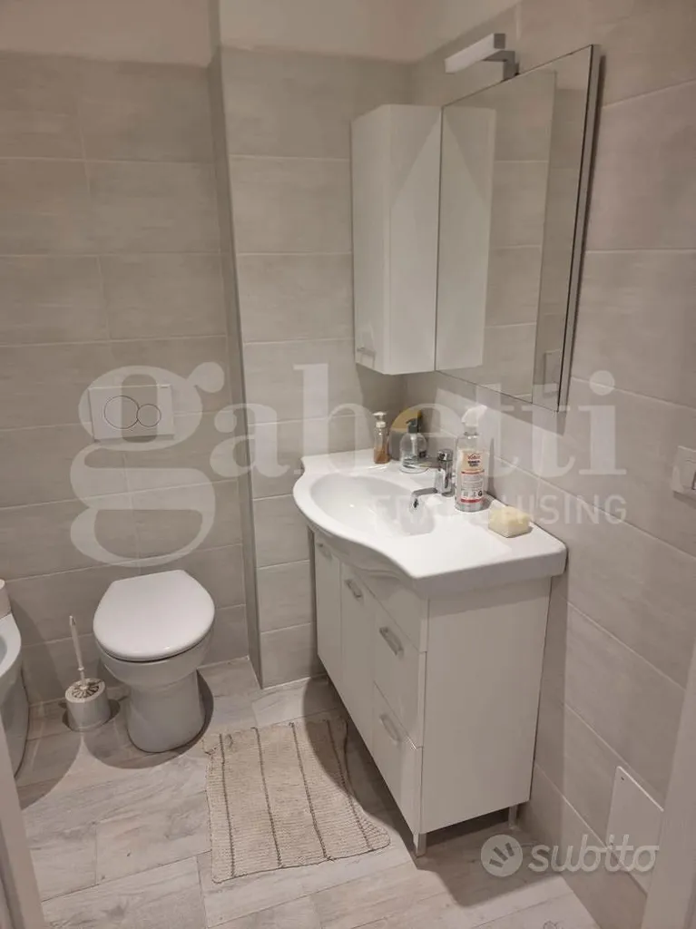 Bathrooms - Modernised Apartment with Disabled Access in Savona