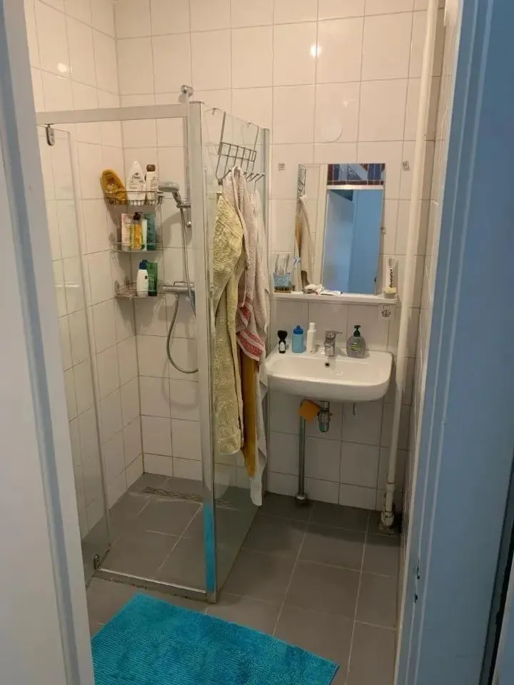 Vannitoad - Temporary Room in Shared Flat, Diemen