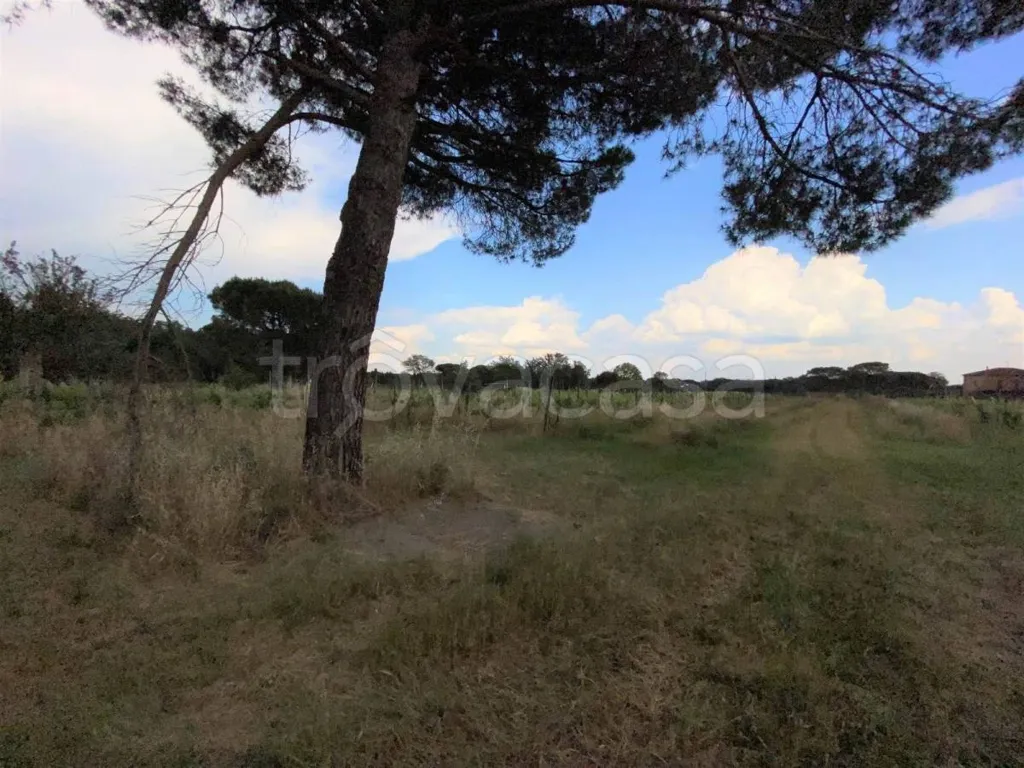 land_plot