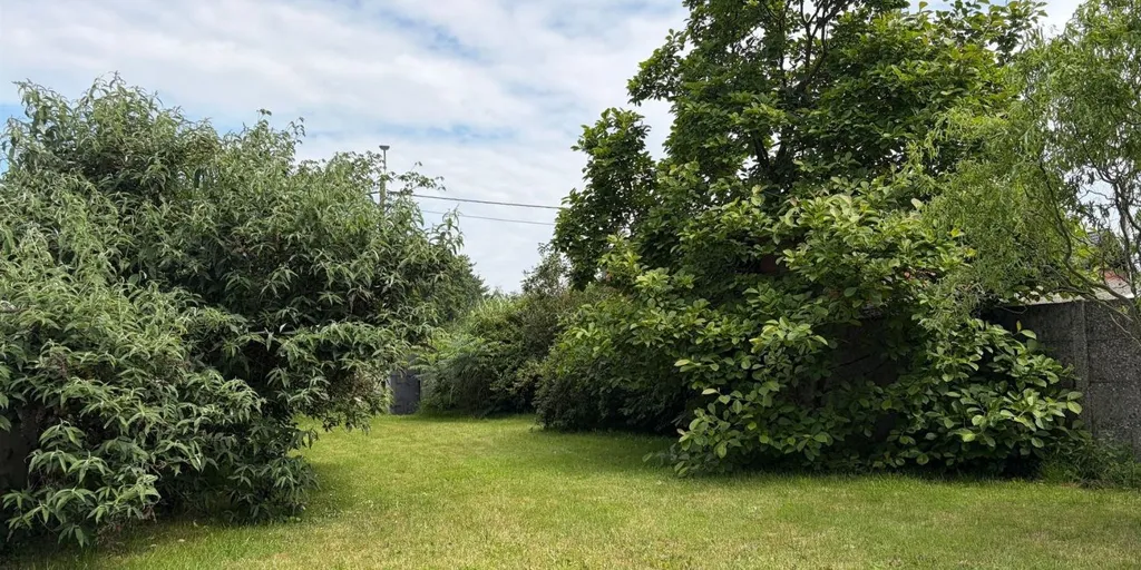 Giardino - Renovated House with Large Garden in Putte