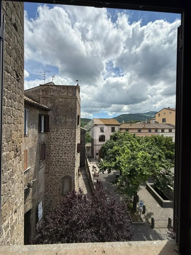 Giardino - Historic Apartments with Piazza View in Bagnaia