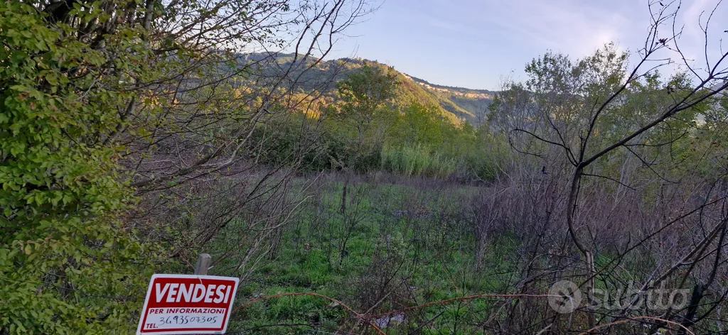 Aed - Buildable Land with Hill Views in Lapio