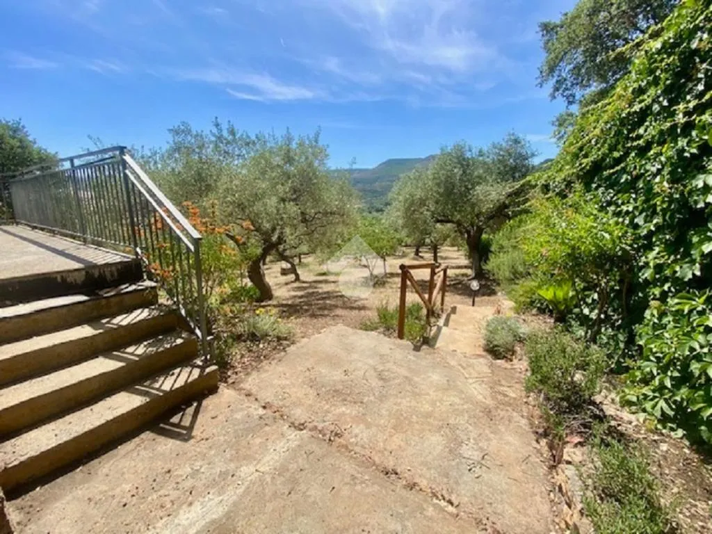 Giardino - Rustico with Olive Grove in Alghero