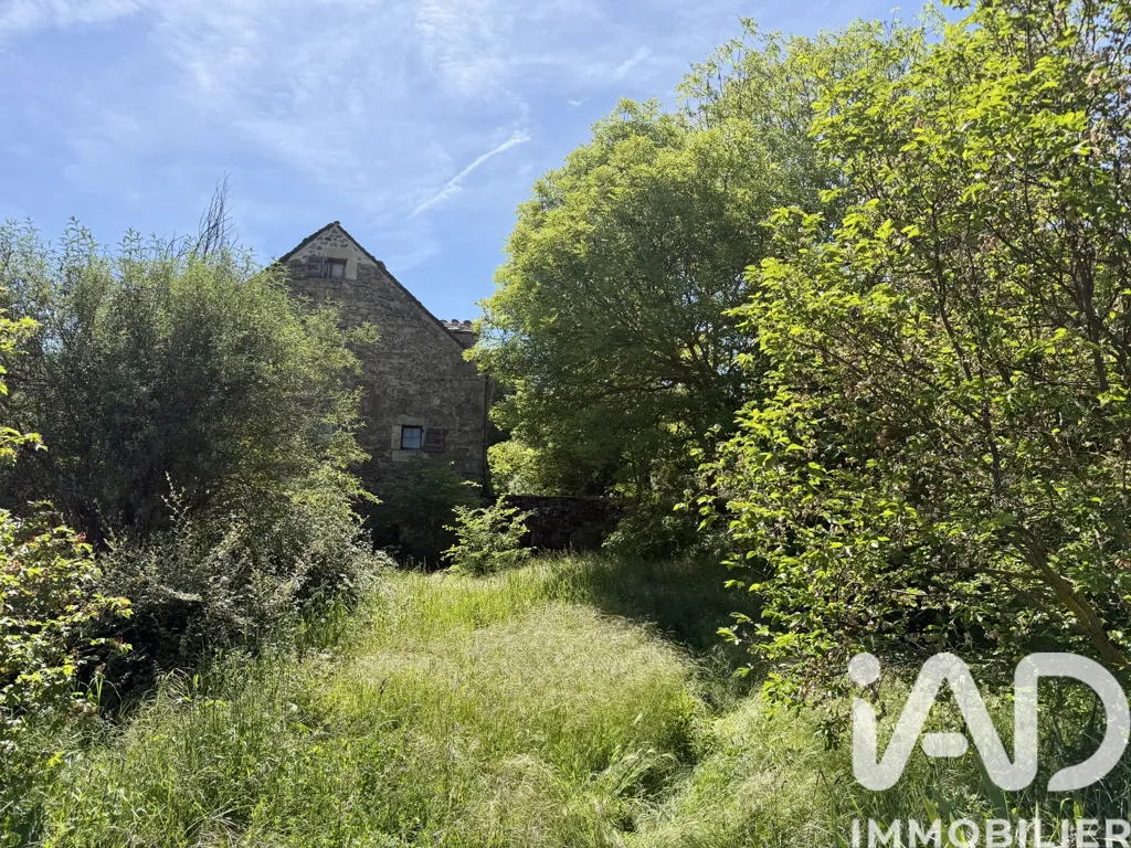 Garden - Charming Stone House with Garden near Mende