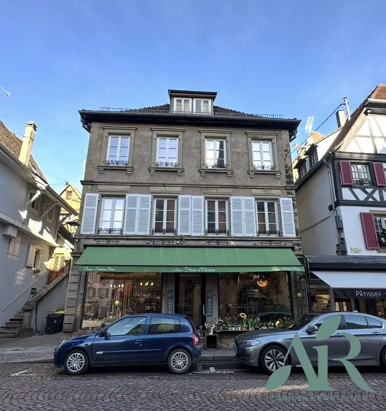 Extérieur - Appartement avec Vue Dégagée au Centre-ville d'Obernai