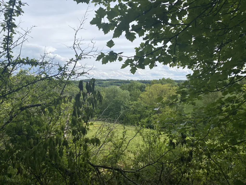 Giardino - Rural Land with Pigeonnier in Dondas