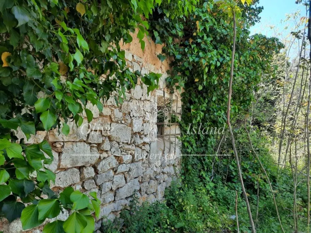 Jardin - 18th Century Manor for Restoration in Binissalem