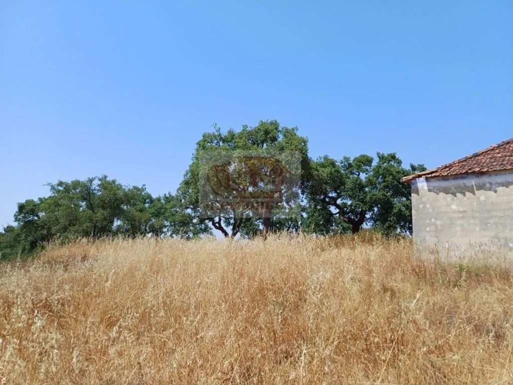 Garden - Development Land with Mountain Views in Grândola