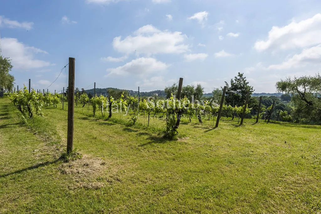 Jardin - Luxury Resort with Vineyard in Lucca