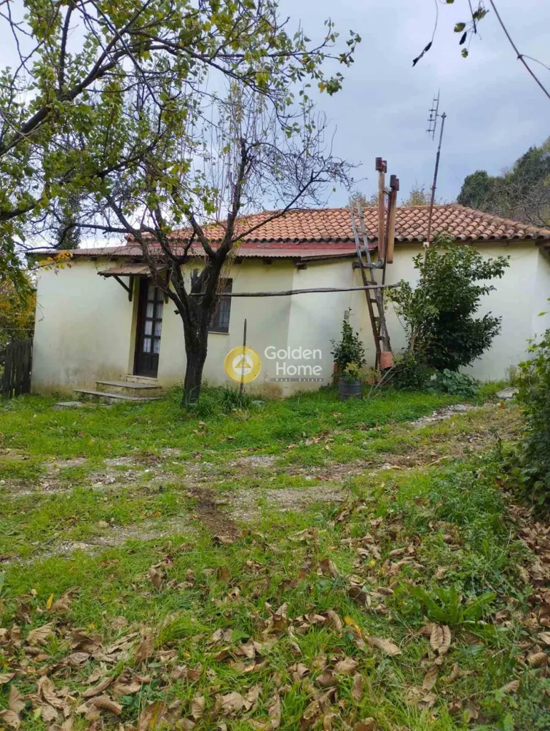 Exterior - Detached Villa with Sea View in Anilio