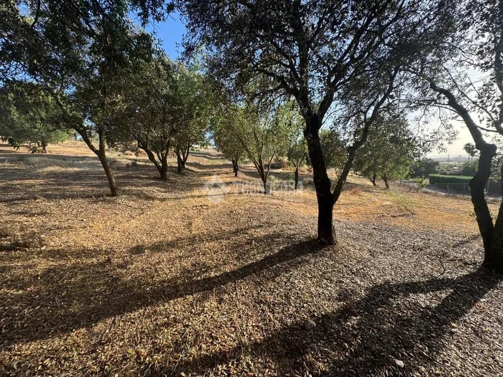 Aed - Rustic Land with Potential in Badajoz