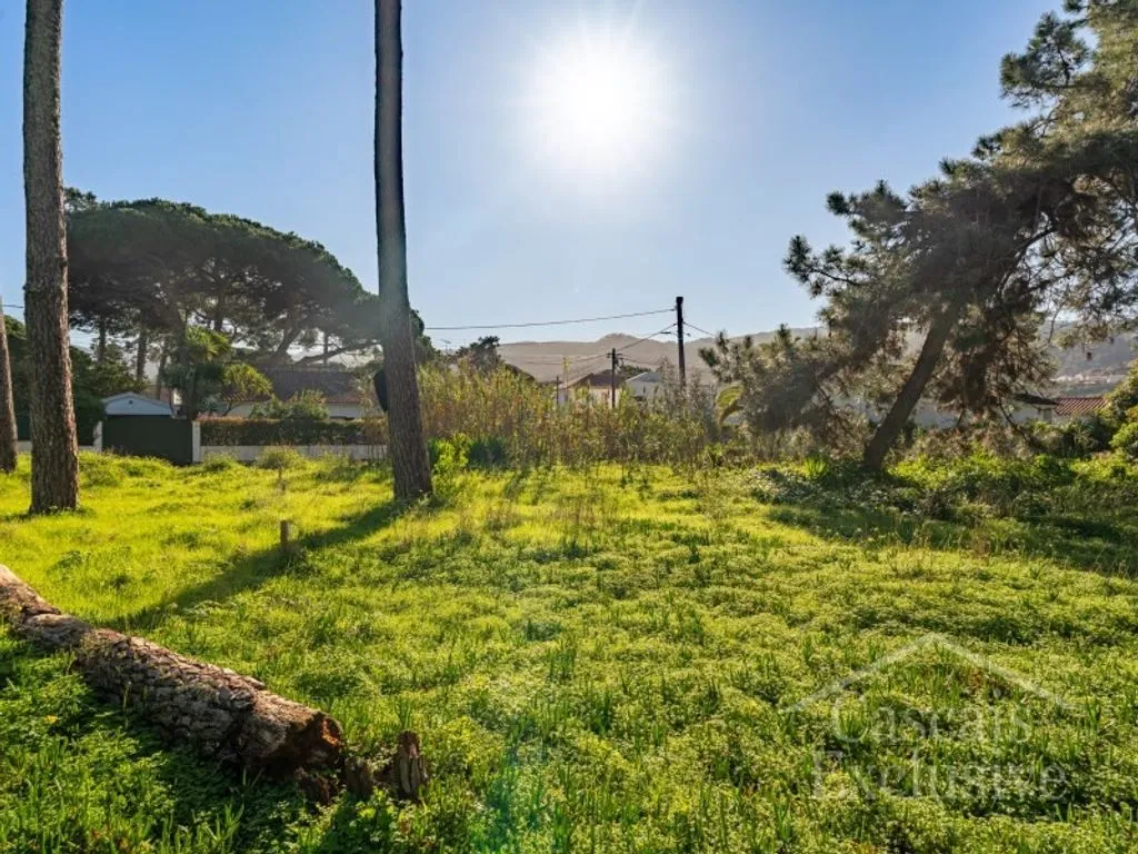 Aed - Approved Plot for T4 House in Colares, Sintra