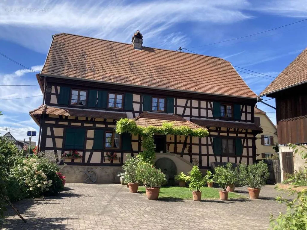 Esterno - Apartment with Private Garden in Plobsheim