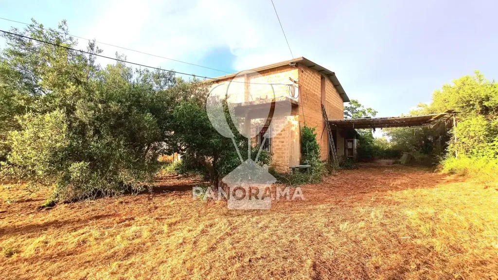 Exterior - Villa with Olive Grove in Partinico