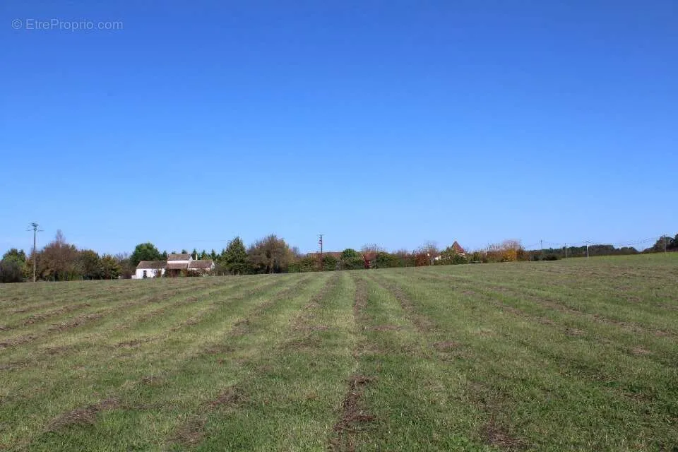 Jardin - Terrain avec Vue sur Espace Vert à Marsalès