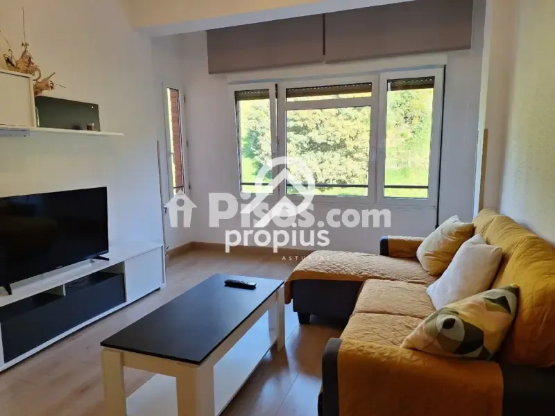 Séjour - Reformed 2-Bed Flat with Terrace in Cangas de Onís