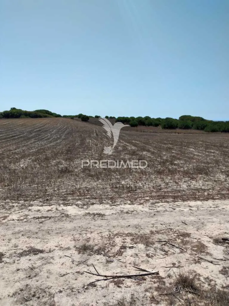 Rustic Plot with Sea Access in Porto Côvo