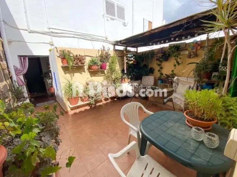 Terrasse - Apartment with Terrace in Gáldar