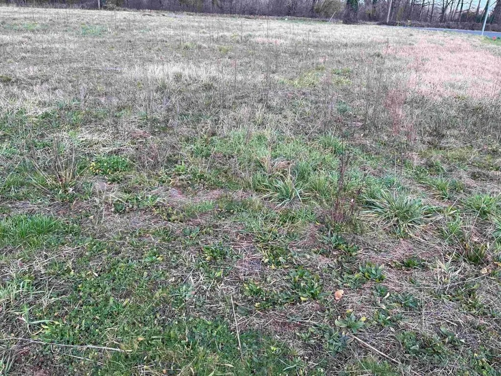 Land in Prudhomat