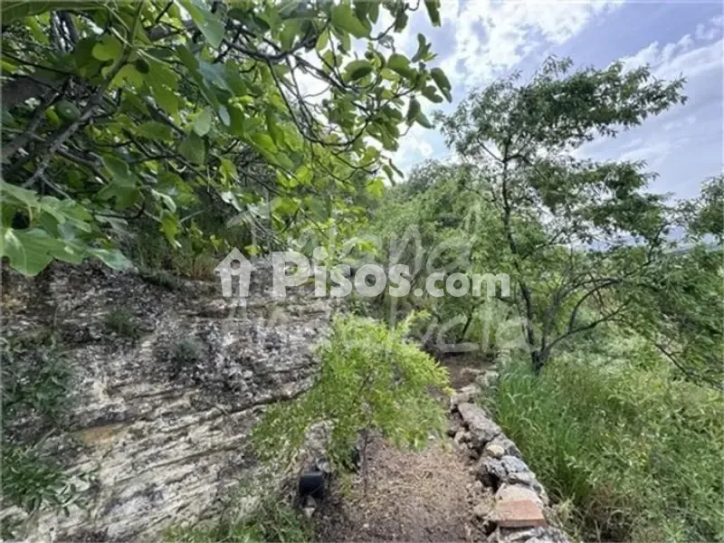 Jardin - House with Views in Alcalá la Real
