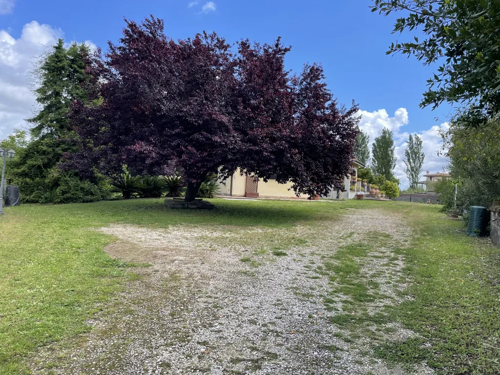 Jardin - Villa with Private Park in Campagnano di Roma