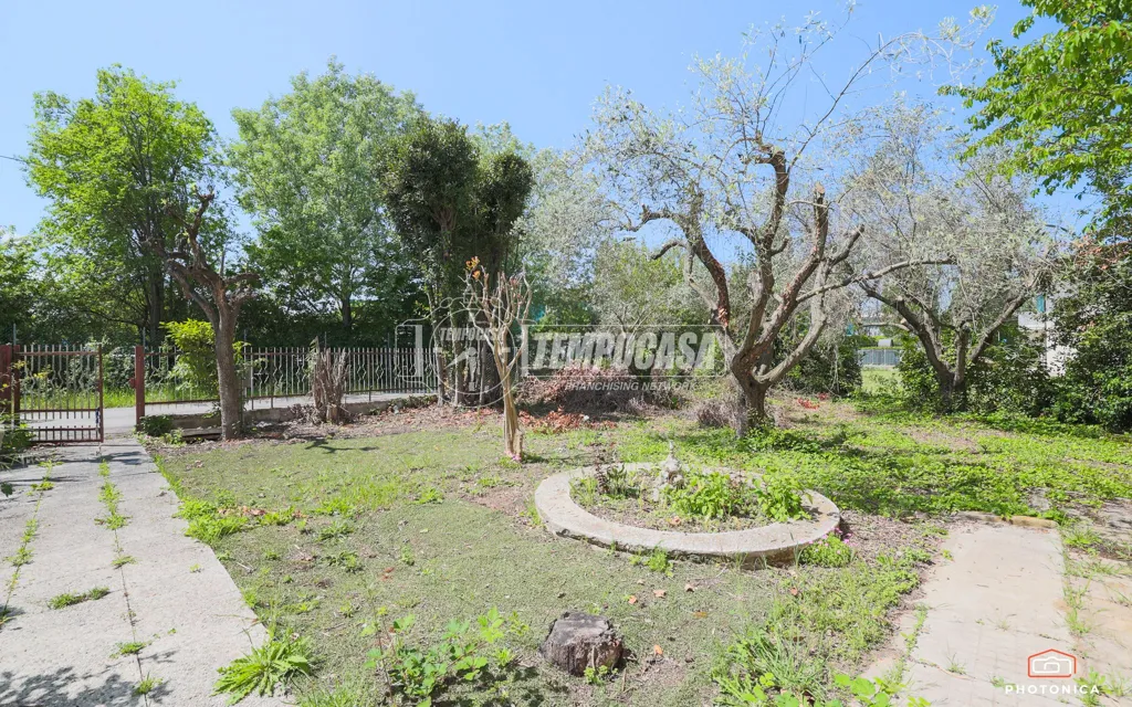 Jardin - Independent Villa with Large Garden in Rimini