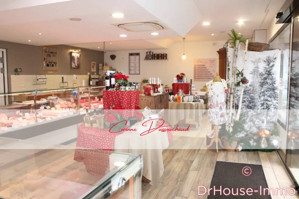 Toad - Boutique Shop with Parking in Chabanais