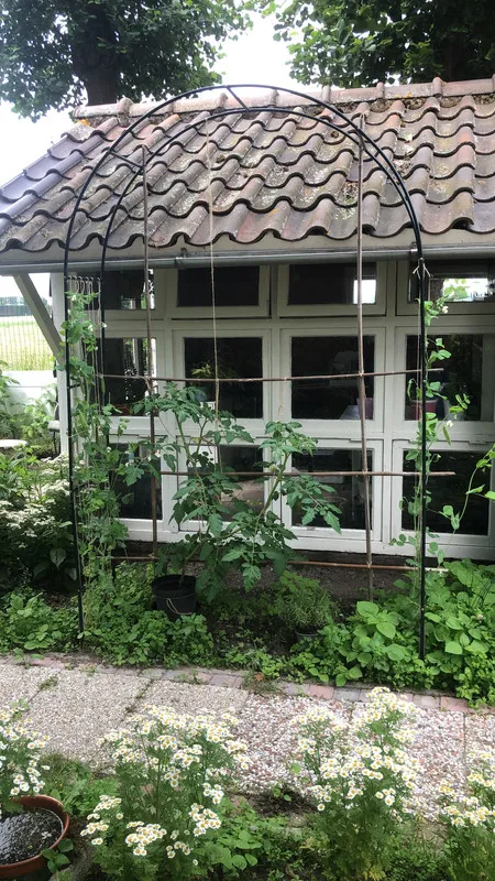 Aed - Charming Villa with Parkland Views in Maasland