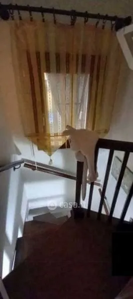 Pièces - Two-Storey House with Balcony in Taglio di Po