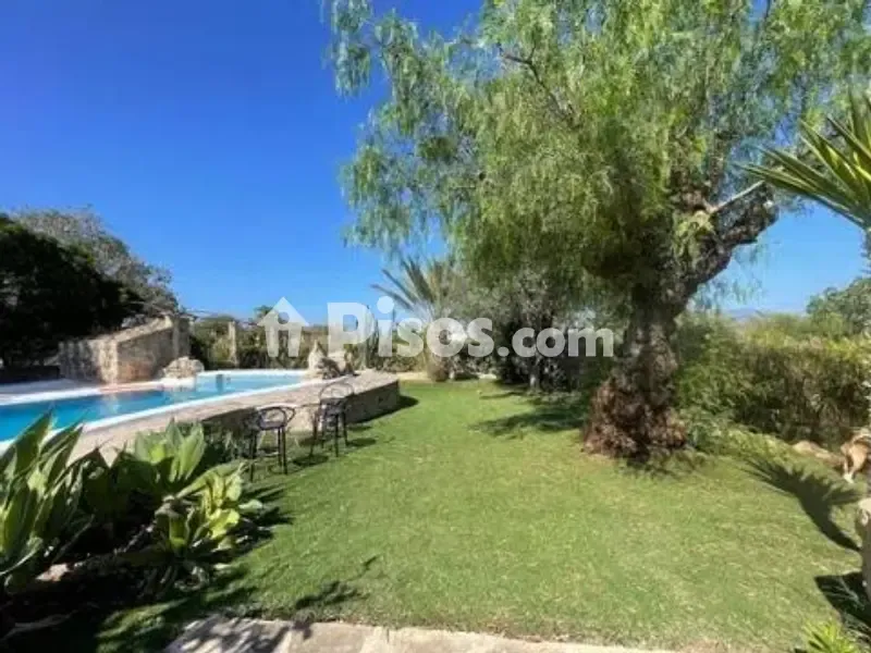 Piscina - Rustic Finca with Pool in Portol, Marratxí
