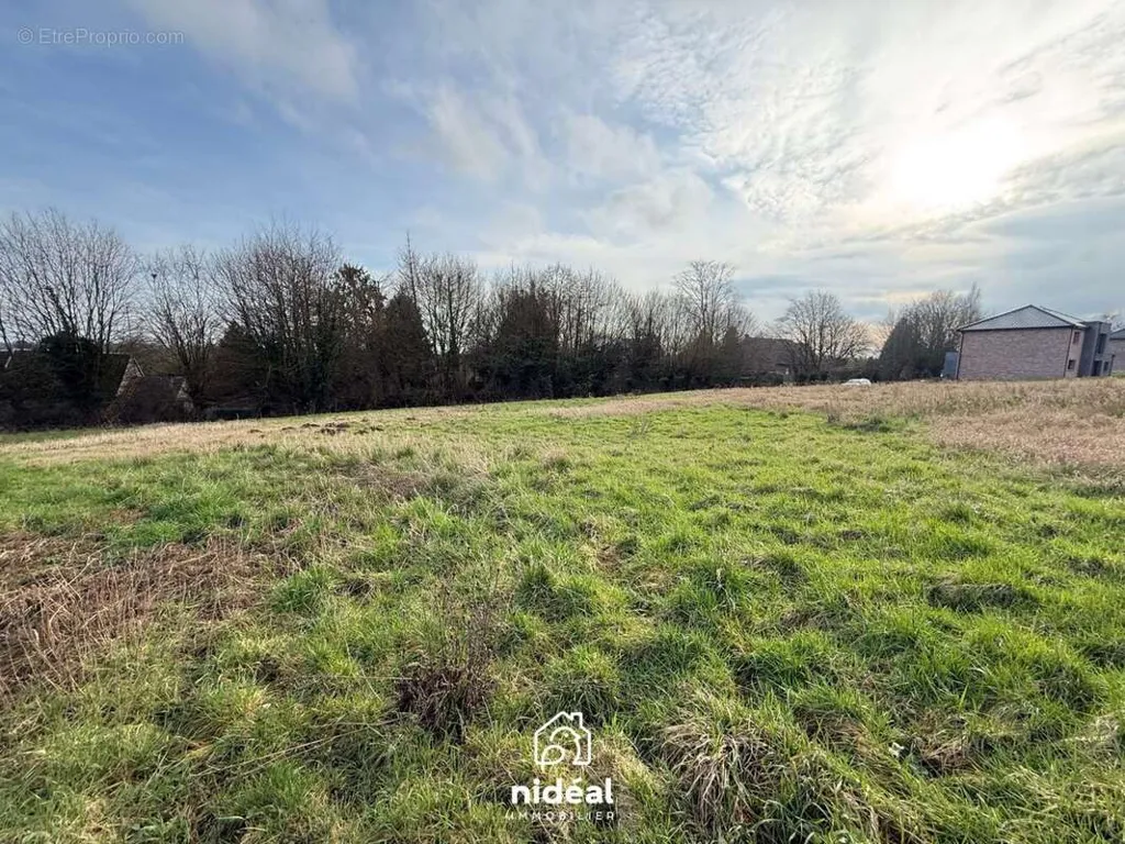 Giardino - Buildable Plot with West Exposure in Boussières-sur-Sambre