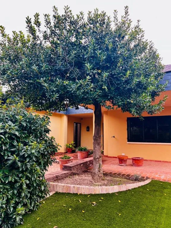 Jardin - Detached House with Pool in Ibi