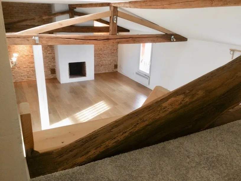 Toad - City Centre Flat with Mezzanine in Lavaur